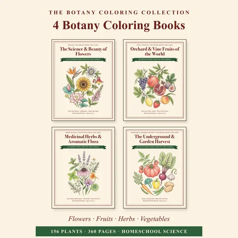 Botany Coloring Book Bundle for Kids | 4 Books: Flowers, Fruits, Herbs, Vegetables | Homeschool Science | Printable PDF printable coloring book