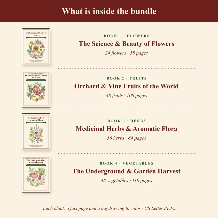 Botany Coloring Book Bundle for Kids | 4 Books: Flowers, Fruits, Herbs, Vegetables | Homeschool Science | Printable PDF — etsy 02 inside